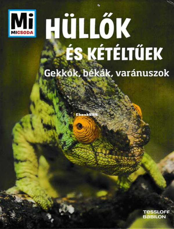 Mi micsoda Rigos A Hüllők és kétéltűek - 1.png