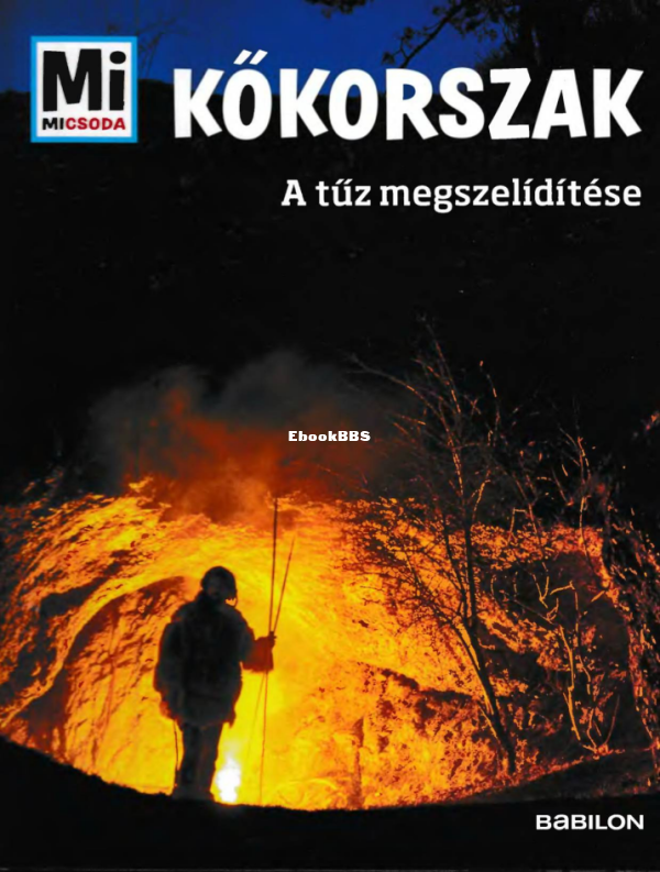Mi micsoda Schaller Andrea Kőkorszak - 1.png