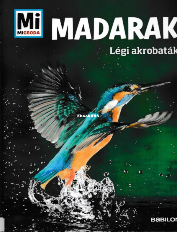 Mi micsoda Werdes A Madarak - 1.png