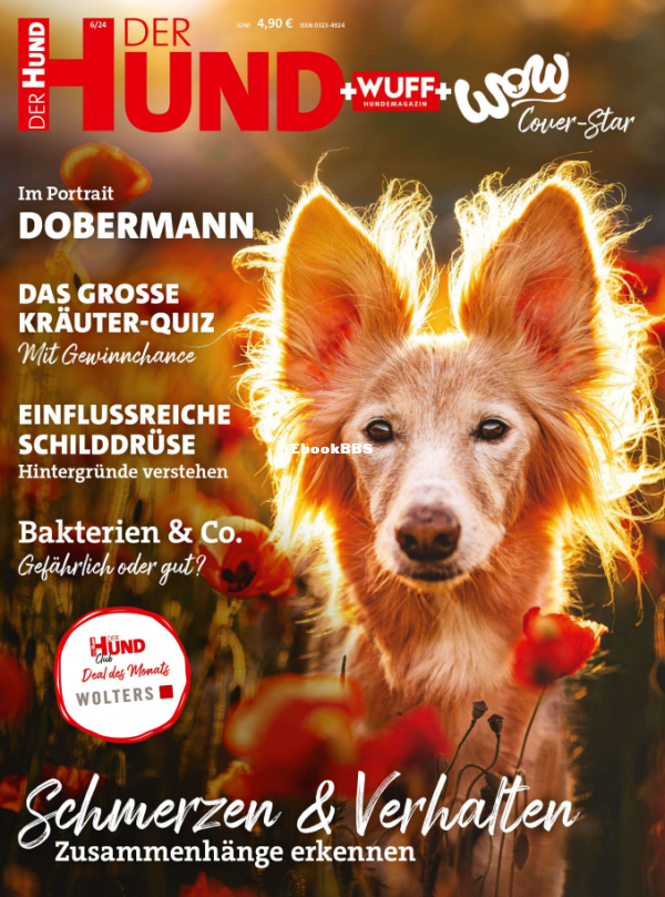 Der_Hund_6.24 - 1.png