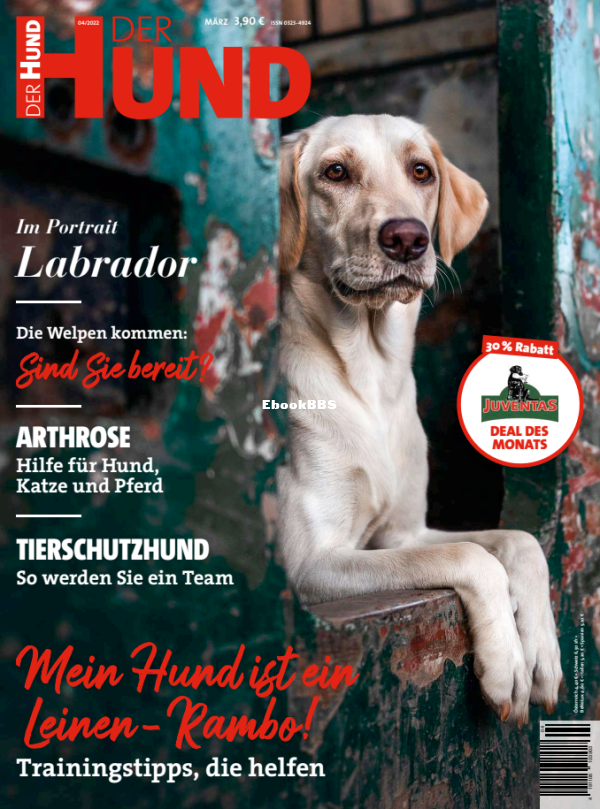 Der_Hund_4.22 - 1.png
