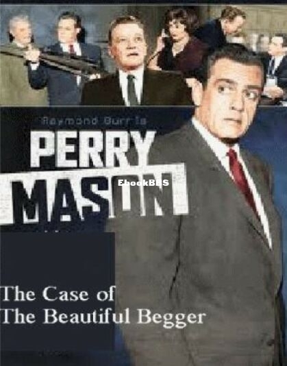 The Case of the Beautiful Beggar.jpg
