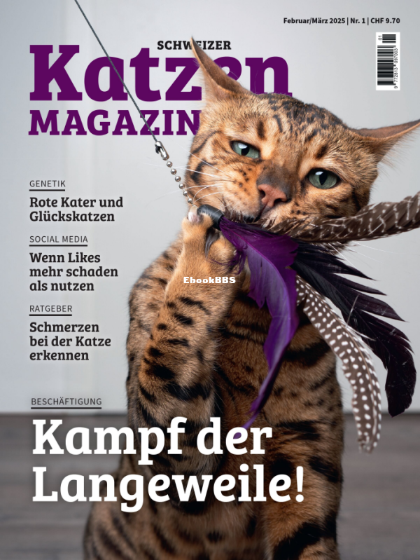 Katzen 02⁄03 2025 - 1.png