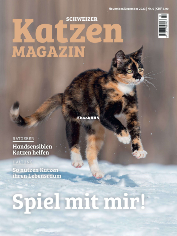 Katzen_11-12.23 - 1.png