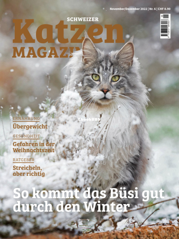Katzen_11-12.22 - 1.png