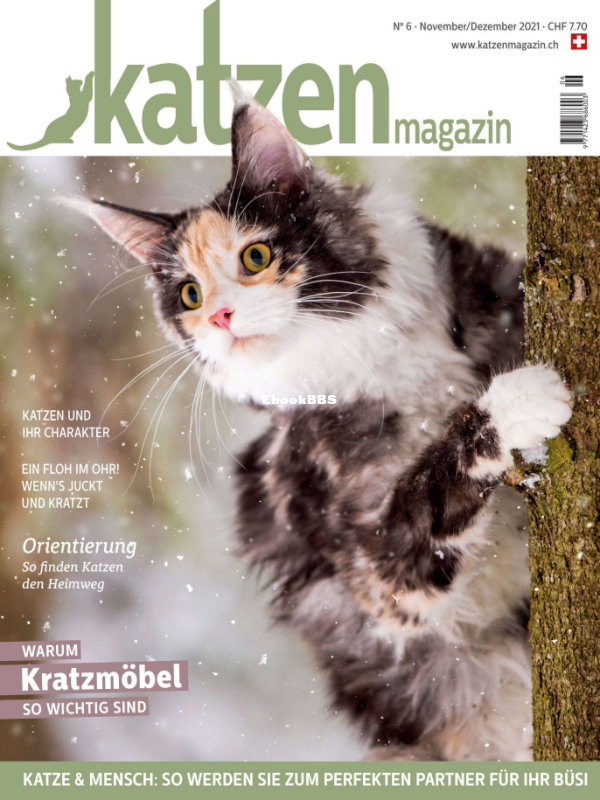 Katzen_11-12.21 - 1.png
