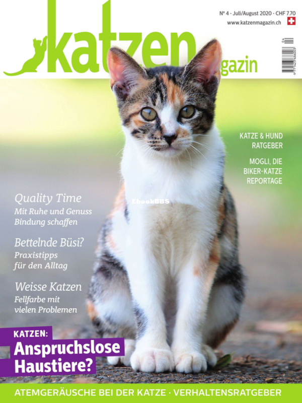 Katzen_7-8.20 - 1.png