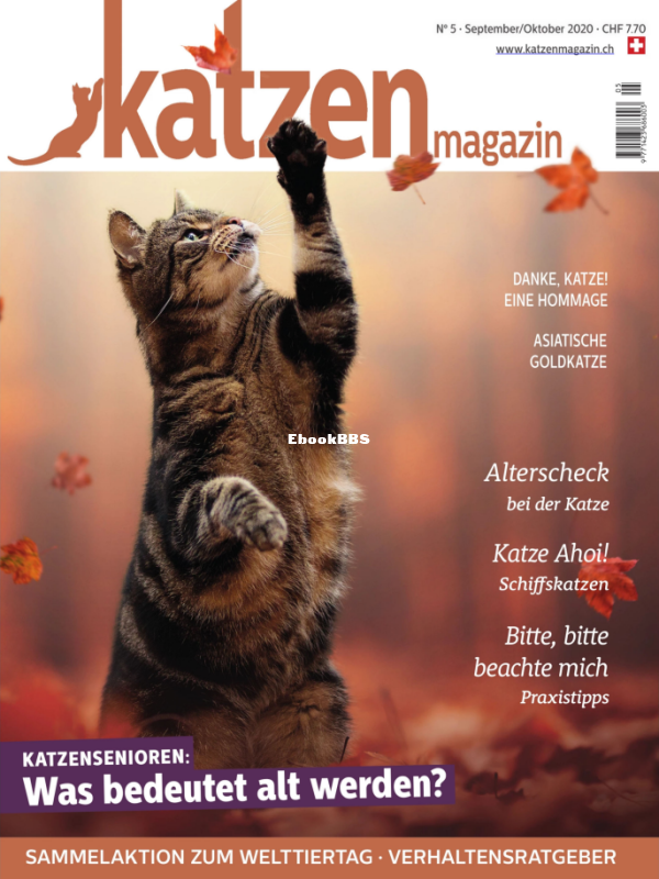 Katzen_9-10.20 - 1.png