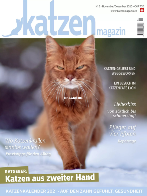 Katzen_11-12.20 - 1.png