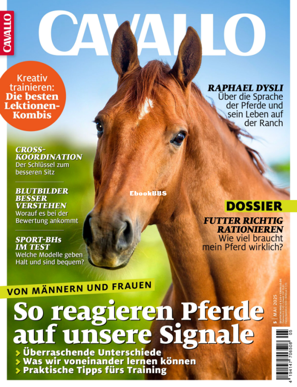 Cavallo_5.25 - 1.png
