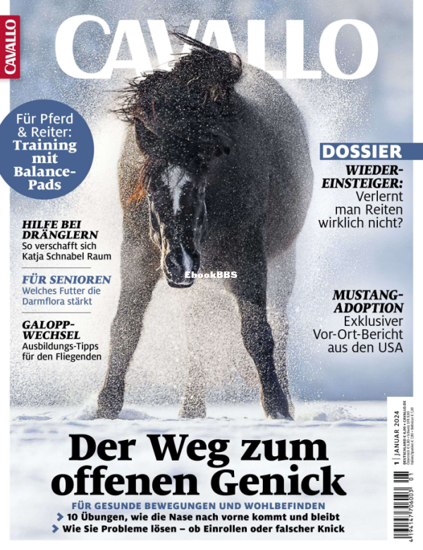 Cavallo_1.24 - 1.png