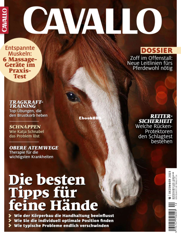 Cavallo_12.23 - 1.png