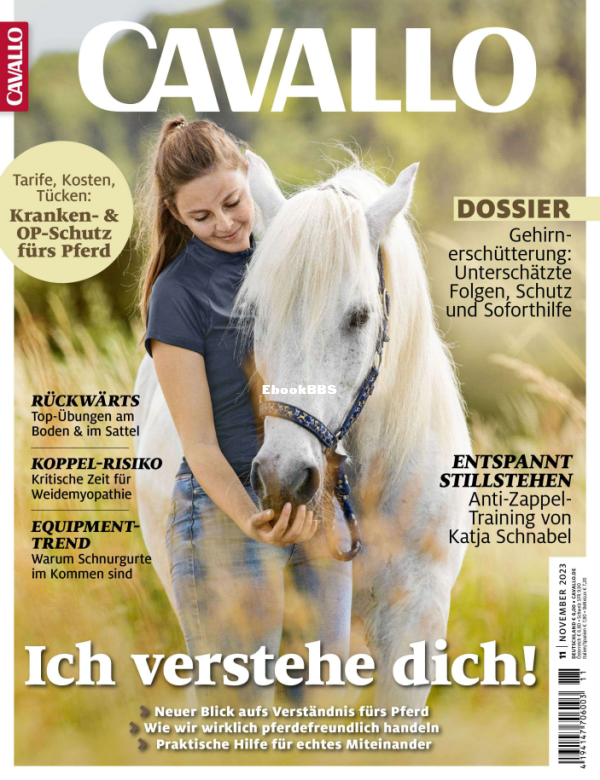Cavallo_11.23 - 1.png