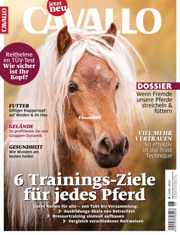 Cavallo_6.22 - 1.png