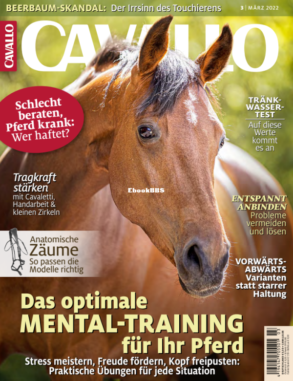 Cavallo_3.22 - 1.png