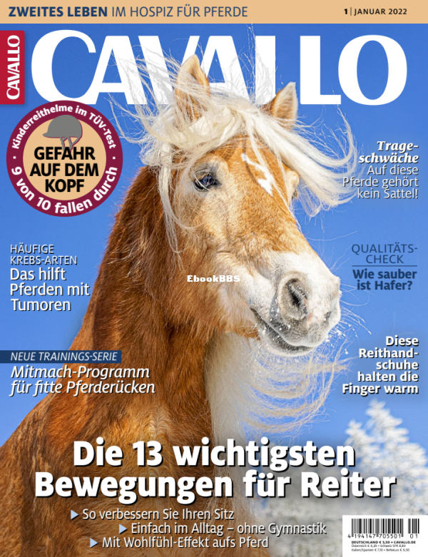 Cavallo_1.22 - 1.png