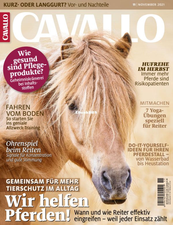 Cavallo_11.21 - 1.png