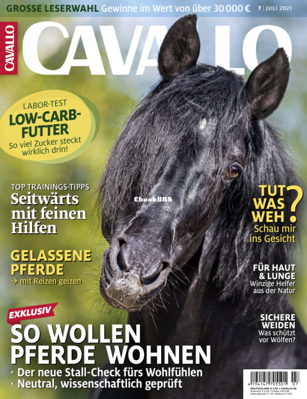 Cavallo_7.21 - 1.png