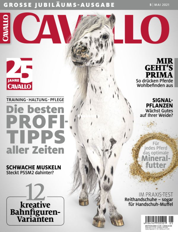Cavallo_5.21 - 1.png