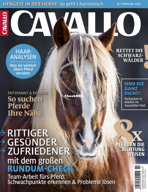 Cavallo_2.21 - 1.png