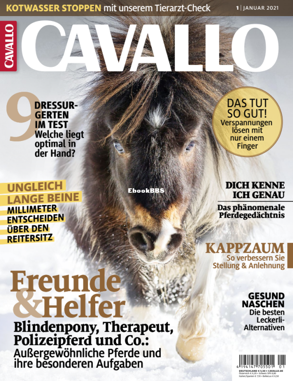 Cavallo_1.21 - 1.png