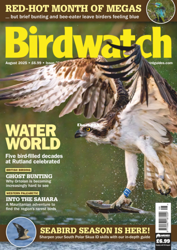 Birdwatch_UK_-_August_2025 - 1.png