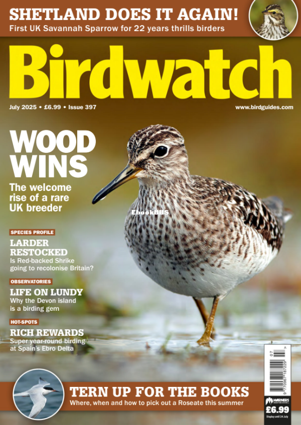 Birdwatch_UK_-_July_2025 - 1.png