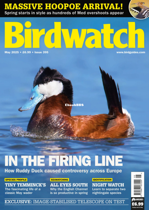 Birdwatch_UK_-_May_2025 - 1.png