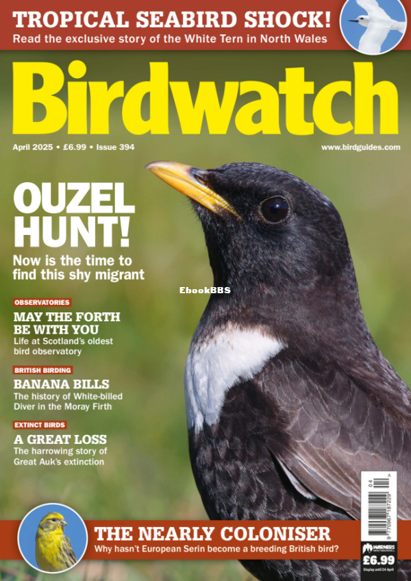 Birdwatch_UK_-_April_2025 - 1.png