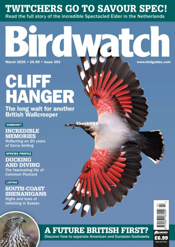 Birdwatch_UK_-_March_2025 - 1.png