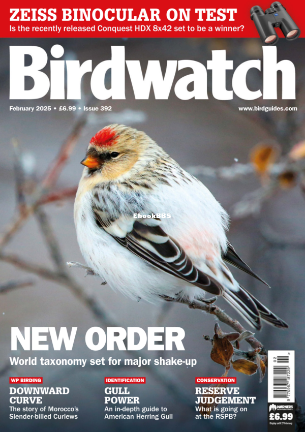 Birdwatch_UK_-_February_2025 - 1.png