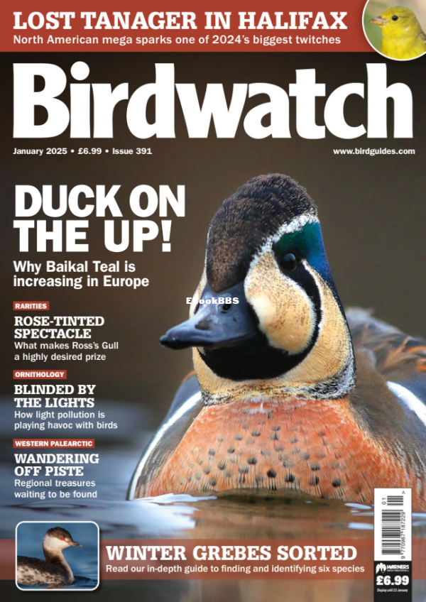Birdwatch_UK_-_January_2025 - 1.png