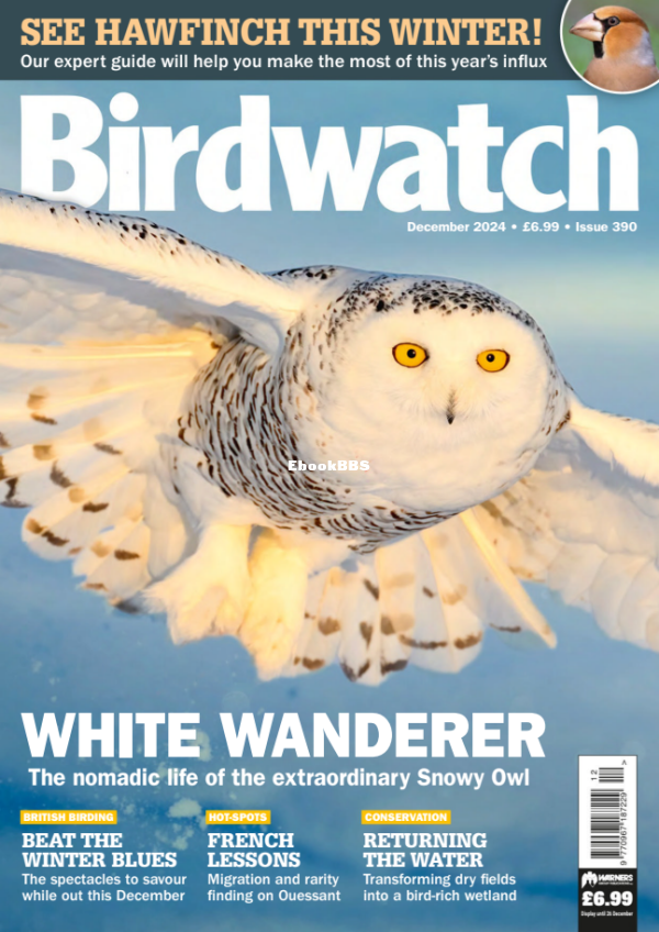 Birdwatch_UK_-_December_2024 - 1.png