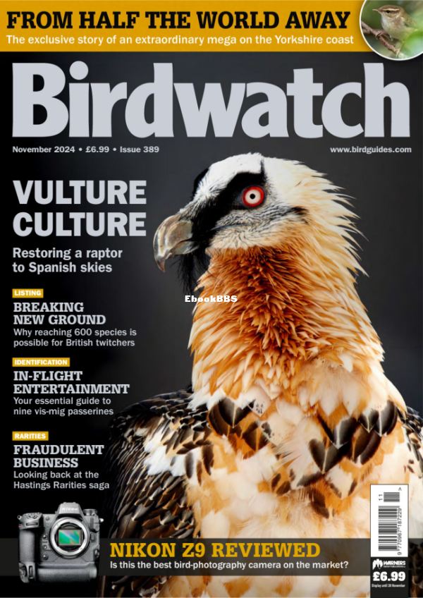 Birdwatch_UK_-_November_2024 - 1.png