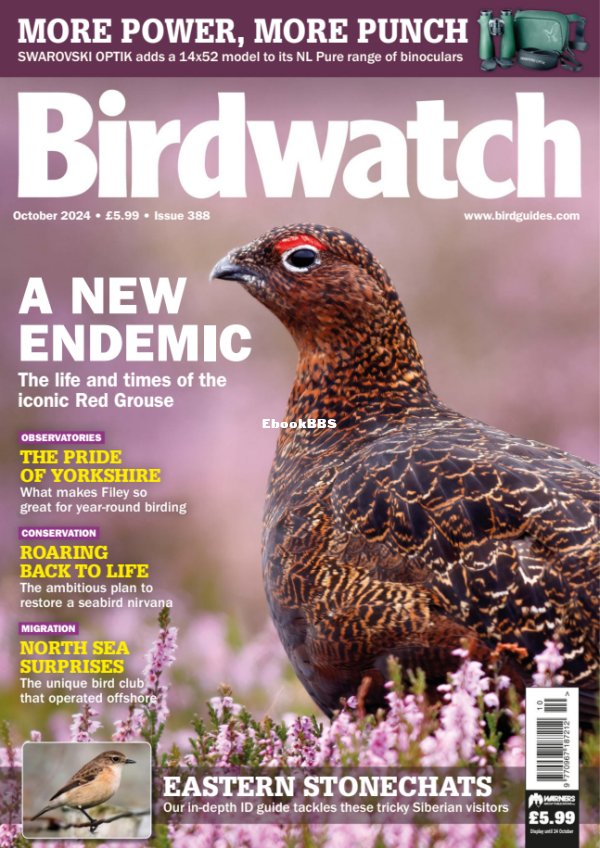 Birdwatch_UK_-_October_2024 - 1.png