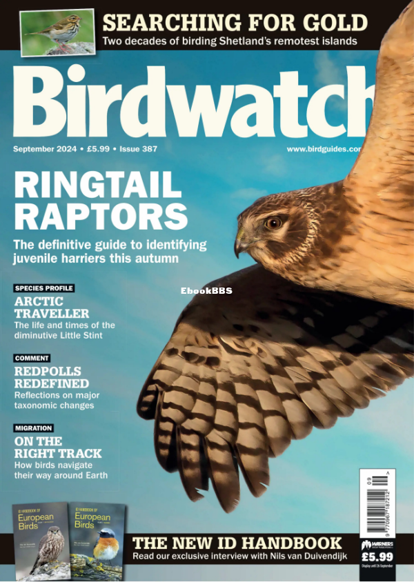Birdwatch_UK_-_September_2024 - 1.png