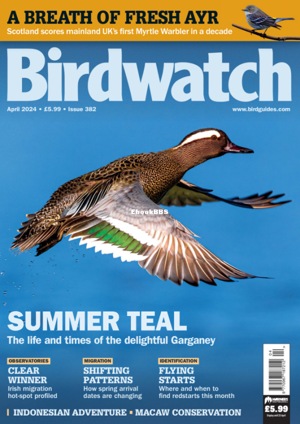 Birdwatch_UK_-_April_2024 - 1.png