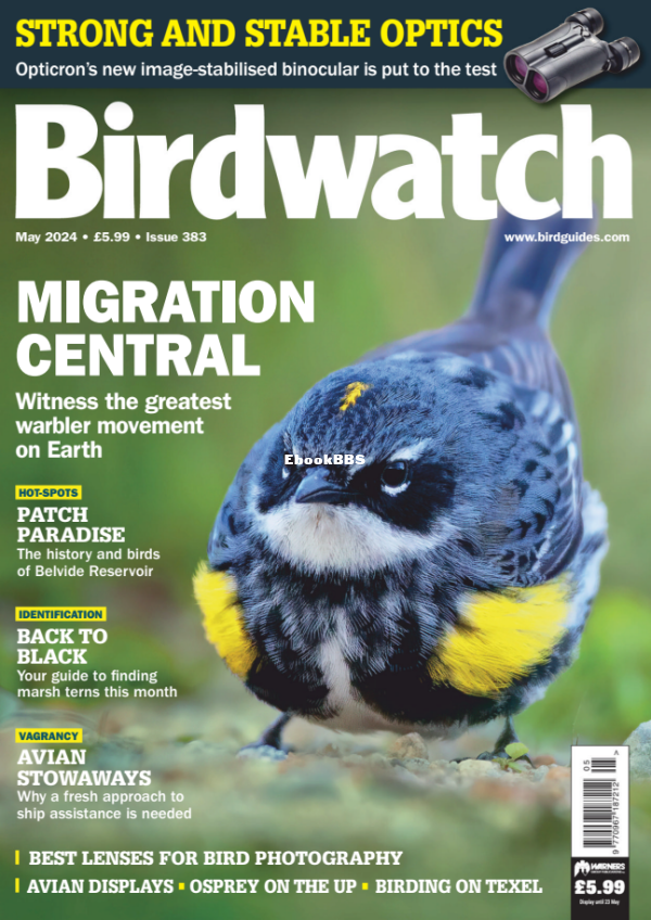 Birdwatch_UK_-_May_2024 - 1.png