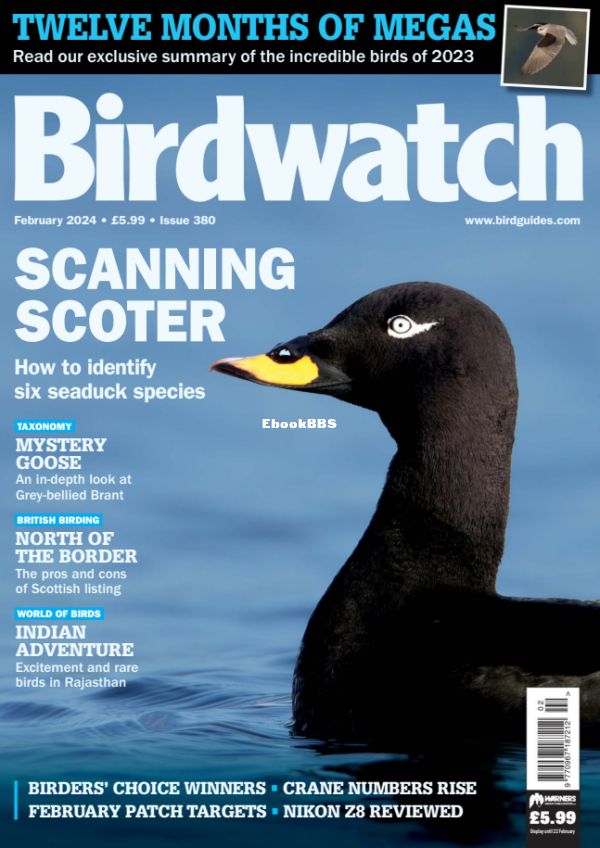 Birdwatch_UK_-_February_2024 - 1.png