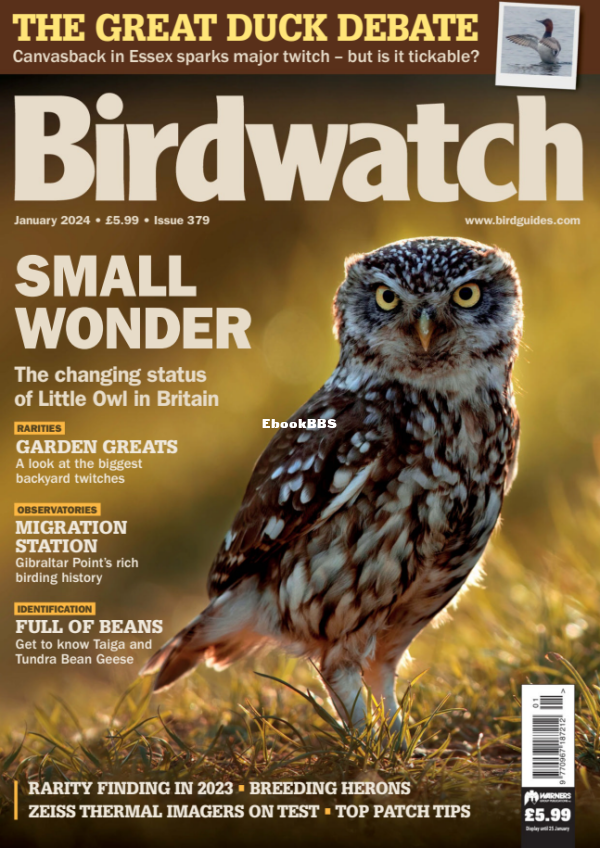 Birdwatch_UK_-_January_2024 - 1.png