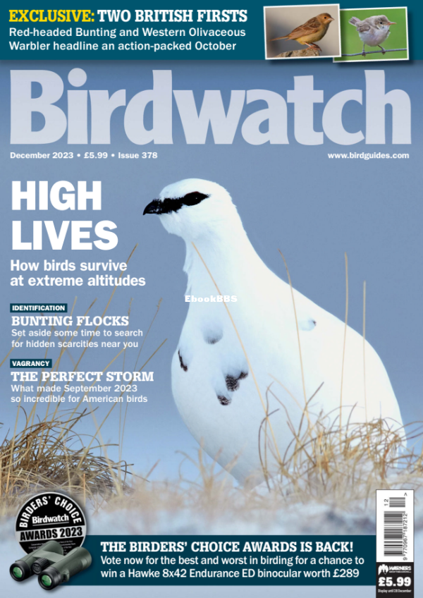 Birdwatch_UK_-_December_2023 - 1.png