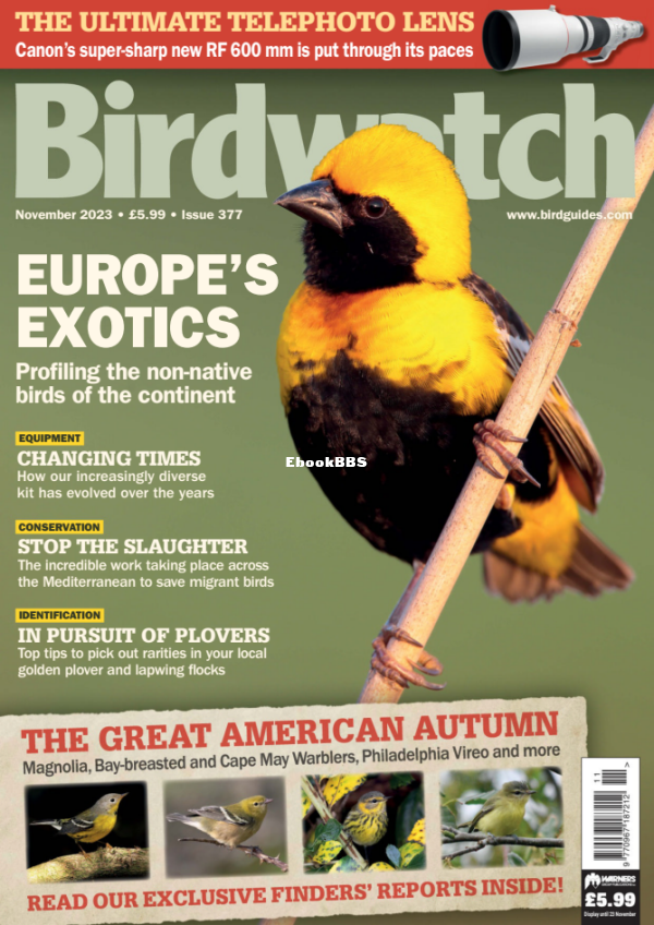 Birdwatch_UK_-_November_2023 - 1.png