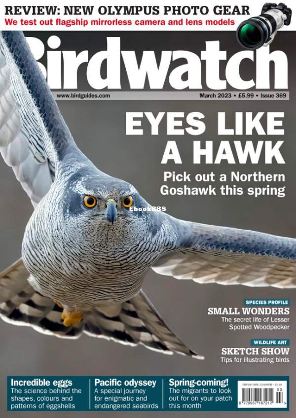 Birdwatch_UK__March_2023 - 1.png
