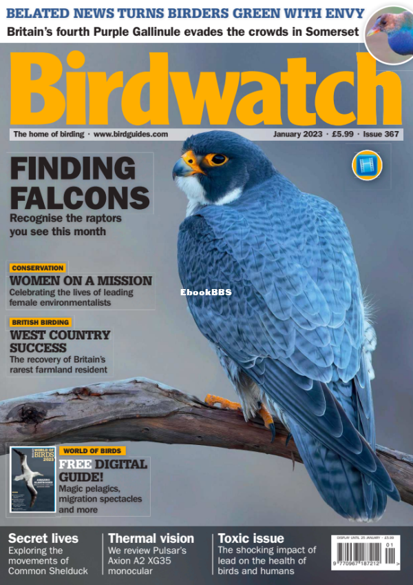 Birdwatch_UK_-_January_2023 - 1.png