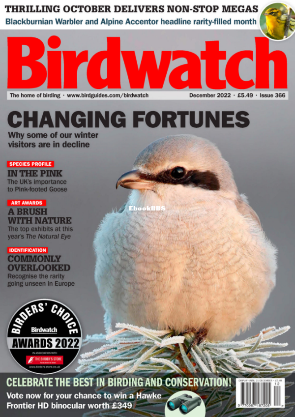 Birdwatch_UK__December_2022 - 1.png
