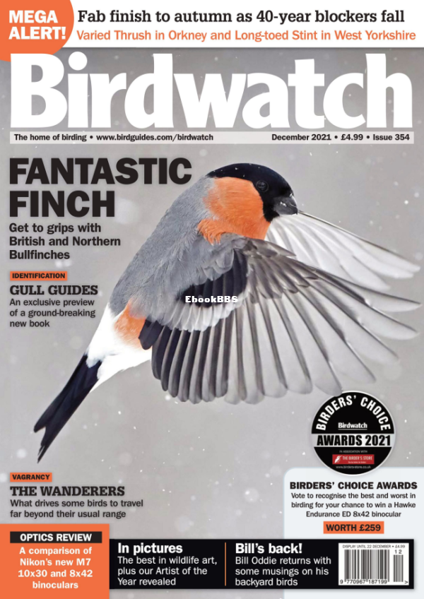Birdwatch_UK__December_2021 - 1.png