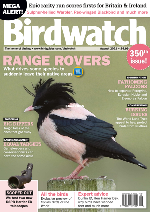 Birdwatch_UK_-_August_2021 - 1.png