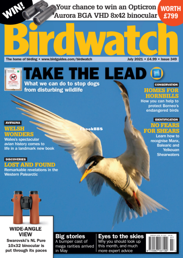 Birdwatch_UK_-_Issue_349_-_July_2021 - 1.png
