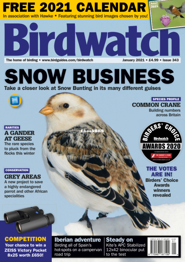 Birdwatch_UK_-_Issue_343_-_January_2021 - 1.png