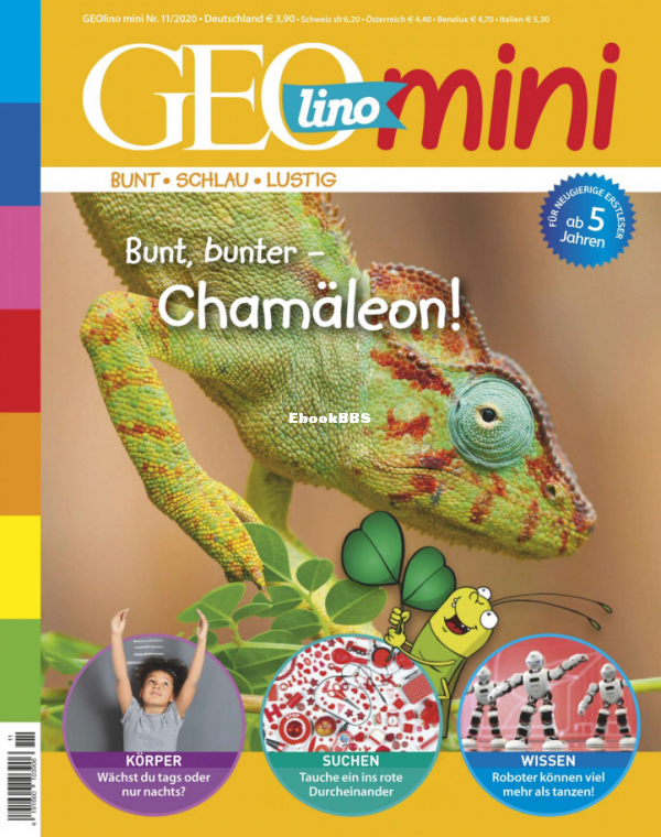 GEOmini_11.20 - 1.png